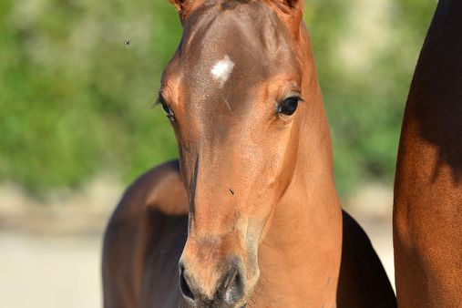 20200808-ga72293-1 20200808-ga72293-1