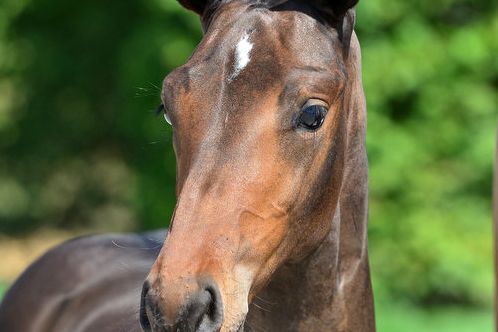 20200808-ga73550-1 20200808-ga73550-1