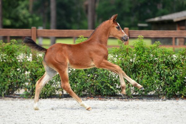 20200718-ga70403-1 20200718-ga70403-1