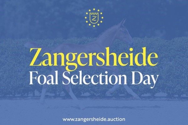 Foal Selection Day General