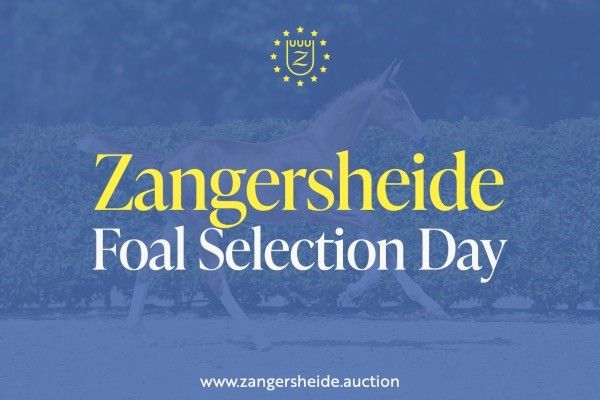 Foal Selection Day General