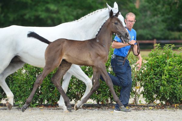 20200725-ga76108-1 20200725-ga76108-1