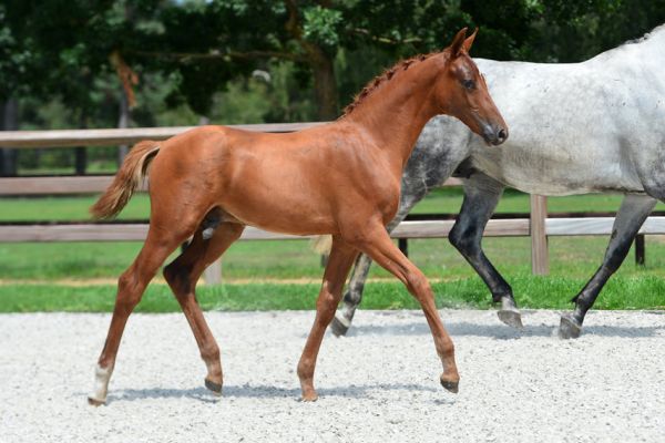 20200719-ga74525-1 20200719-ga74525-1