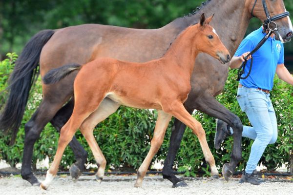 20200725-ga76178-1 20200725-ga76178-1