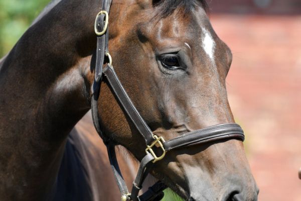 20200624-ga67534-carletha-3 20200624-ga67534-carletha-3