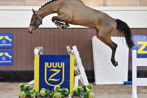 nirvania-72 nirvania-72