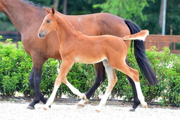 20200717-ga77492-1 20200717-ga77492-1