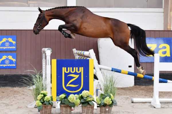 20200710-ga60039-quick-minka-89 20200710-ga60039-quick-minka-89