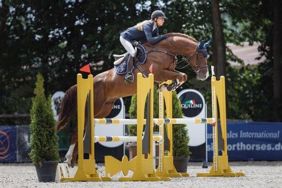 Diablue PS Diablue PS