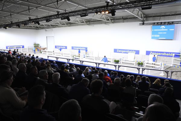 Hengstenkeuring2023-02-17_11.46.47_Sen_0004 Hengstenkeuring2023-02-17_11.46.47_Sen_0004