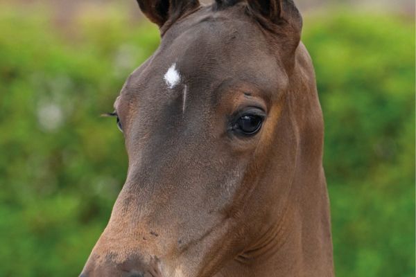 45 Countdown JT Z 45 Countdown JT Z