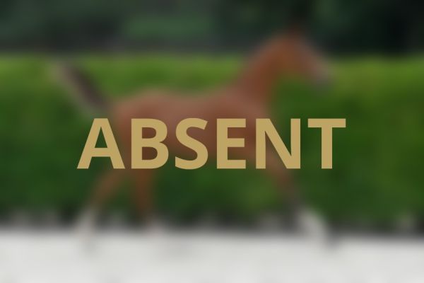 Absent