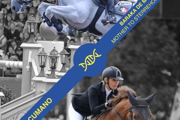 Embryo Cumano Z x Baraka de Muze Embryo Cumano Z x Baraka de Muze