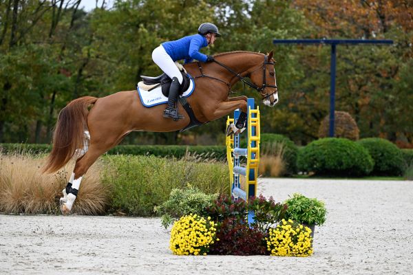 Lausanne Z Lausanne Z