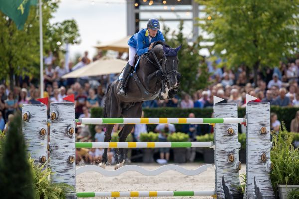 Dominator Z_Christian Ahlmann@paardenfotograaf