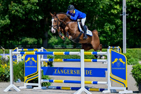 Ay Caramba Z Ay Caramba Z