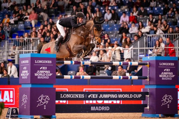 Beauville Z N.O.P. - Maikel van der Vleuten - ©FEI Thomas Reiner Beauville Z N.O.P. - Maikel van der Vleuten - ©FEI Thomas Reiner