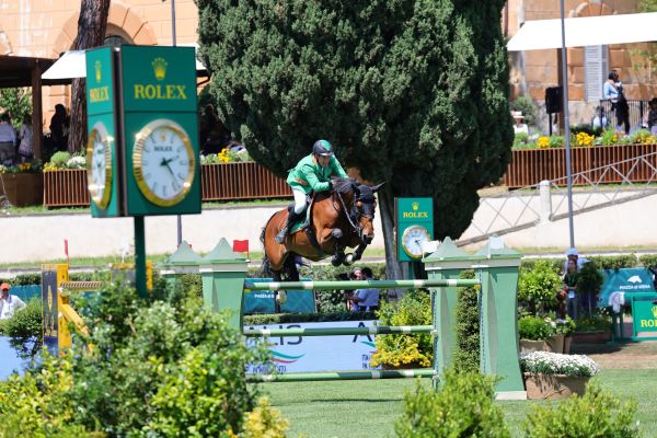 Gerfried Puck Equitron Melody Vd Smidshoeve