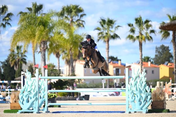 Basic Instinct Z - Elke Appeltans - ©Hervé Bonnaud Basic Instinct Z - Elke Appeltans - ©Hervé Bonnaud