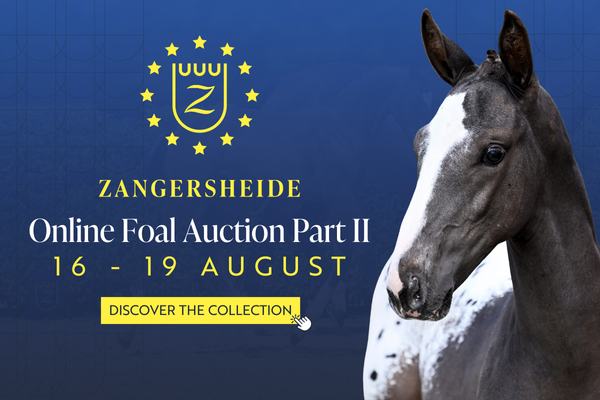 FA Website Banner V2 FA Website Banner V2