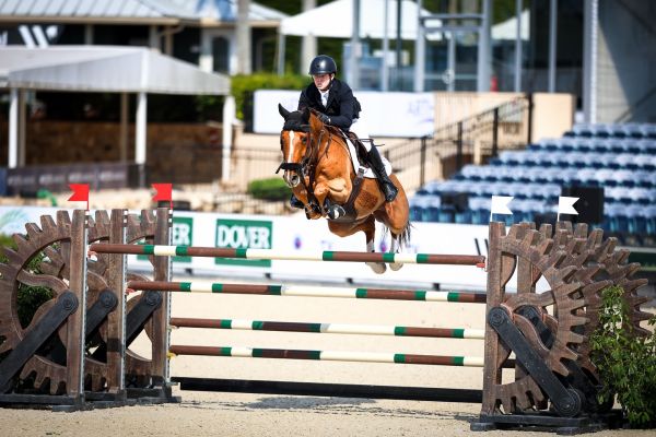 Coriaan van Klapscheut Z - Shane Sweetnam - ©Wellington International