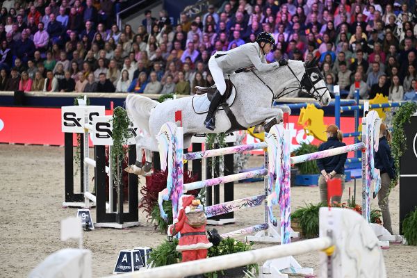Airco de L&rsquo;Esprit Z - Marcus Westergren - &copy;Paardenfotograaf