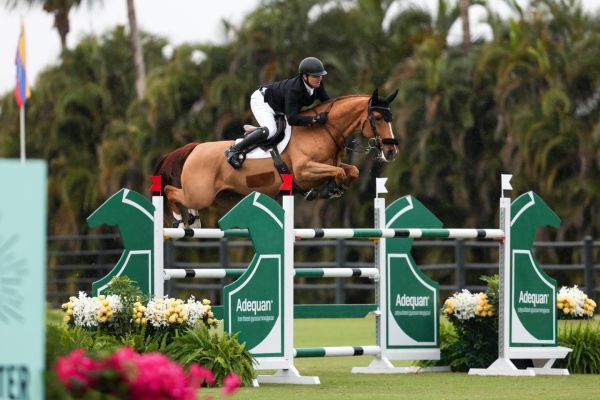 Coriaan van Klapscheut Z - Shane Sweetnam - &copy;Wellington International - Cassidy Klein
