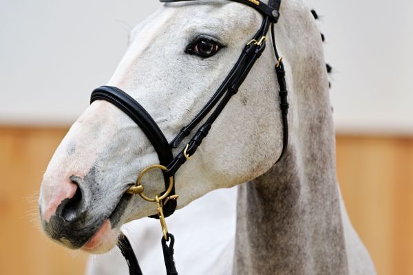 ESPERANZA Z 4 ESPERANZA Z 4