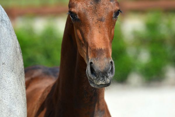 20200718-ga79743-1 20200718-ga79743-1