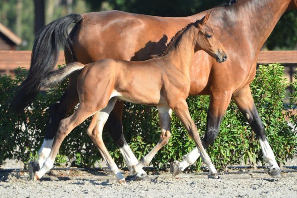 20200808-ga72311-1 20200808-ga72311-1