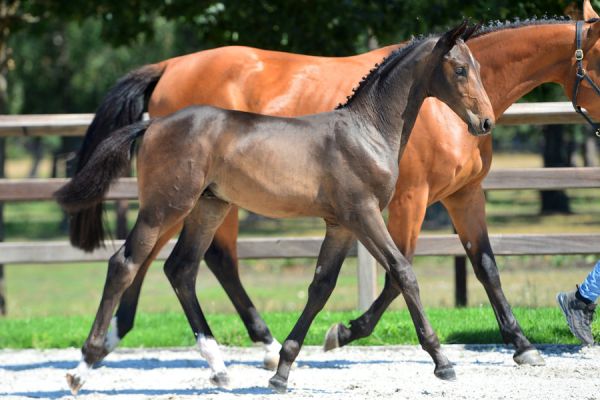 20200808-ga73624-1 20200808-ga73624-1