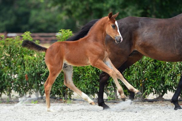 20200718-ga70346-1 20200718-ga70346-1