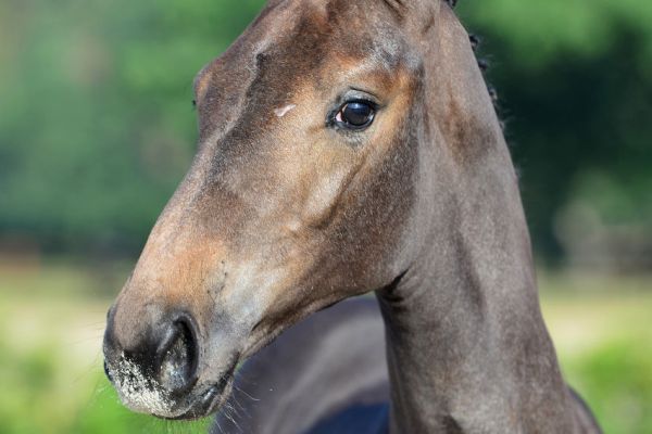 20200718-ga78449-1 20200718-ga78449-1