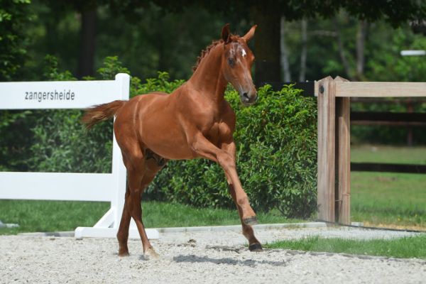 20200719-ga74596-1 20200719-ga74596-1