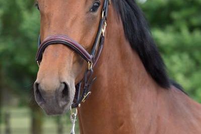 20170615-b-27776 20170615-b-27776