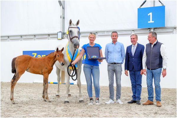 Ucenta Z  (1) Ucenta Z  (1)