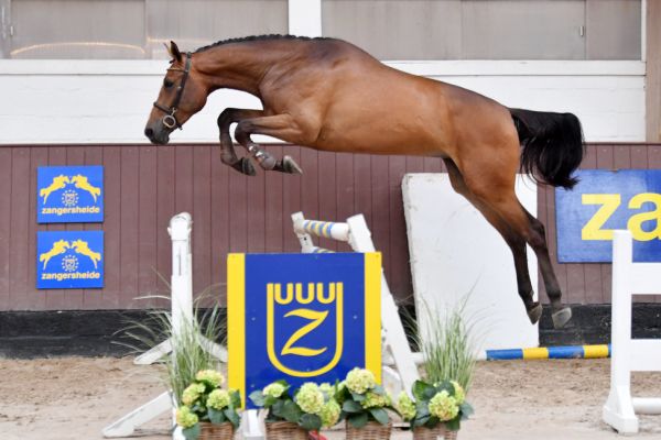 20200710-ga60113-diqilly 20200710-ga60113-diqilly