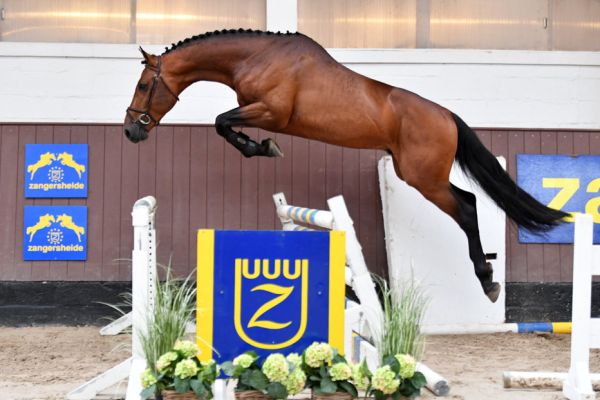 20200710-ga60379-rolling-stone-19 20200710-ga60379-rolling-stone-19