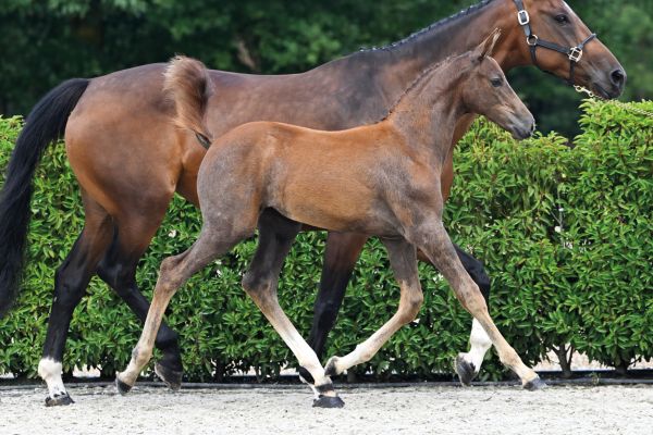 50 Eres Tu de Regor Z 50 Eres Tu de Regor Z