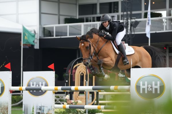 1597-MH104423 1597-MH104423