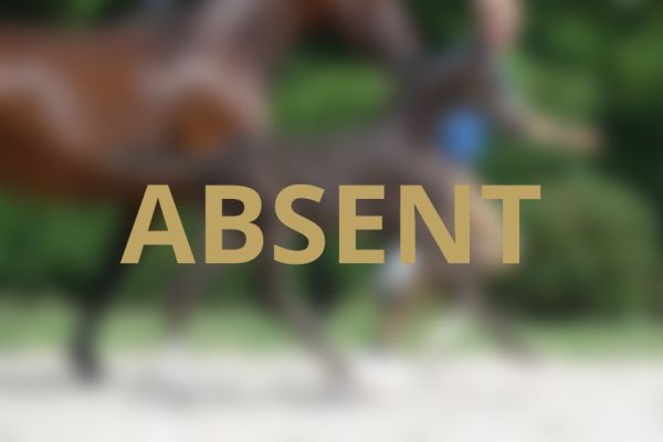 Absent Clever de Jolie Absent Clever de Jolie