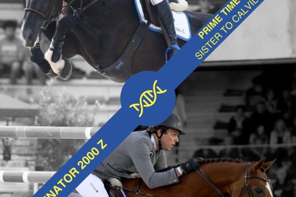 Embryo Dominator x Prime Time IV Embryo Dominator x Prime Time IV