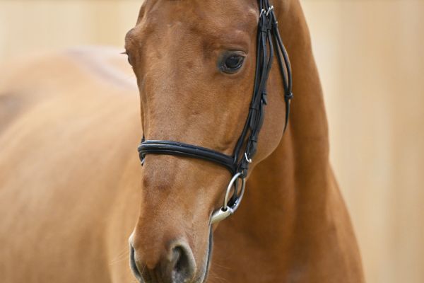 Together or Never - H Z Together or Never - H Z