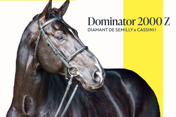 dominator