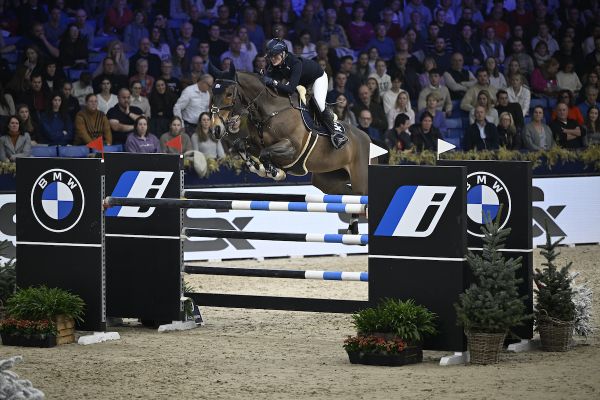 Cassina Z - Petronella Andersson - ©Paardenfotograaf Cassina Z - Petronella Andersson - ©Paardenfotograaf