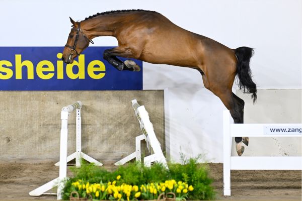 REMARKABEL VD WATERMOLEN REMARKABEL VD WATERMOLEN