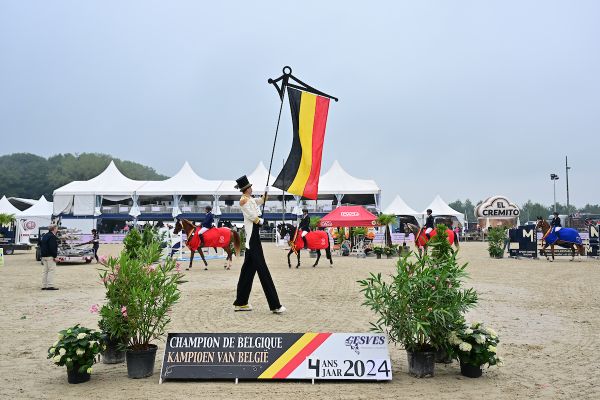 Belgisch Kampioenschap 4-jarige paarden 2024 Belgisch Kampioenschap 4-jarige paarden 2024