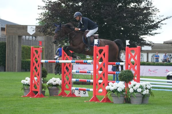 Belle Amie Vd Dassenheide Z - Wilm Vermeir - ©Sportfot Belle Amie Vd Dassenheide Z - Wilm Vermeir - ©Sportfot