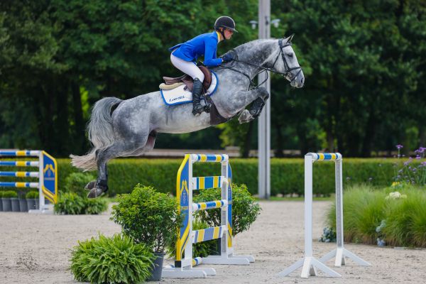 Zangersheide QA - powered by MBA  Sold for € 1.000.000 Codex Diaz Z