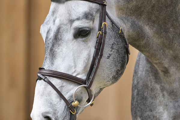 Codex Son Z Codex Son Z